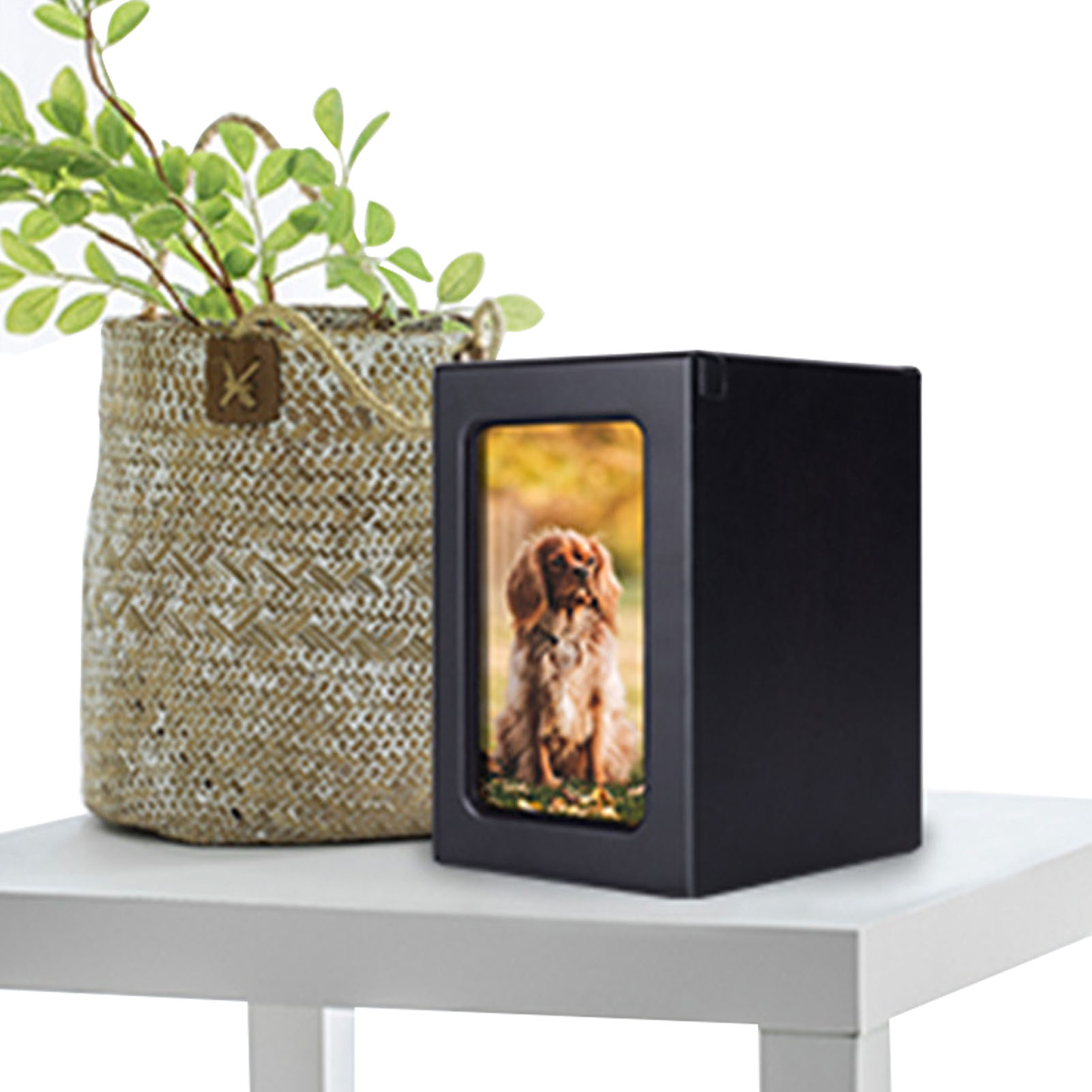 Wooden Pet Urns Wooden Cremati - Engraved Wood Frame 评论和价格