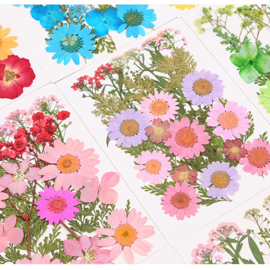 Un-dyed Natural Pressed Dried  - Dried Flower Bookmark 评论和价格
