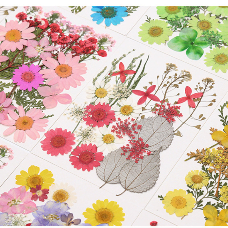 Un-dyed Natural Pressed Dried  - Dried Flower Bookmark 评论和价格