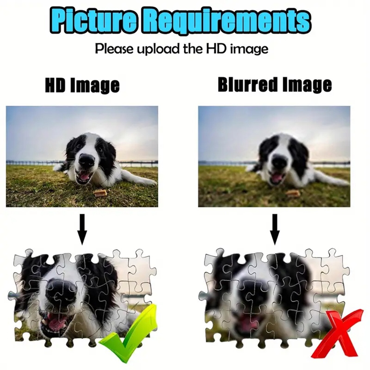 35/300/500/1000pcs Personalize - Pet Portrait Custom 评论和价格