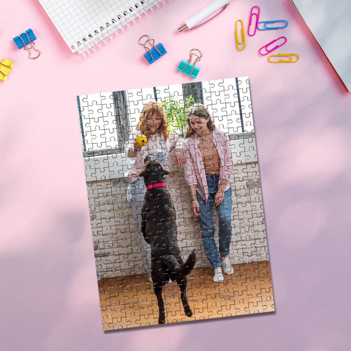 35/150/300/500/1000pcs Persona - Pet Portrait Custom 评论和价格